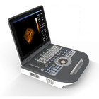 เครื่องอัลตร้าซาวด์แบบพกพา Eco Medical 4D สี Ultrasound Digital