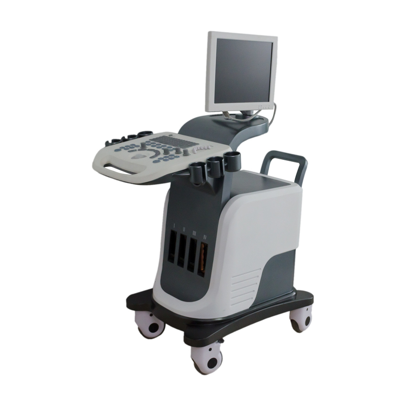 BPW Mobile Digital Color Doppler ระบบอัลตราซาวนด์ 15in LED Display