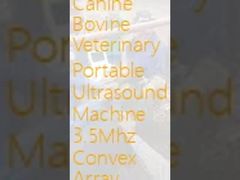 USB Canine Bovine Veterinary เครื่องอัลตร้าซาวด์แบบพกพา 3.5Mhz Convex Array Probe